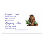 Pixie Elf Business Cards