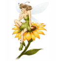 Pixie fairy t-shirts by apsylus Pixie fairy t-shirts