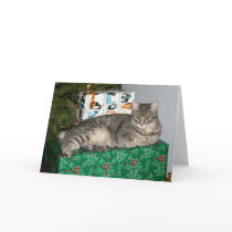 Pixie Kitty guards the presents cards by Lajko1 Pixie Kitty guards the presents cards