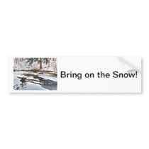 Pixley in Winter Bumper Sticker