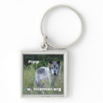 Piyip Keychain