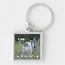 Piyip Keychain keychains