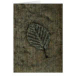 Pizarra del fósil de la hoja tarjeton