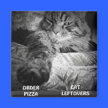 PIZZA OR LEFTOVERS? magnets