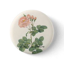 PJ Redoute - Rosa damascena aurora buttons by LisasLair PJ Redoute - Rosa damascena aurora buttons