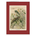 PJ Smith - Chameleons Greeting Card