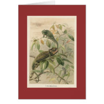 PJ Smith - Chameleons Greeting Card