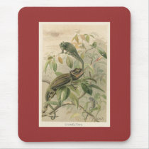 PJ Smith - Chameleons mousepads by LisasLair PJ Smith - Chameleons mousepads