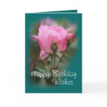 Pk KO Rose & buds on teal 2- any occasion Greeting Cards