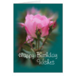 Pk KO Rose & buds on teal 2- any occasion Greeting Cards