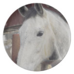 Placa árabe blanca del caballo plato