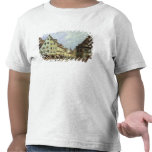 Place du Marche-aux-Fruits, Colmar, 1875 t-shirts