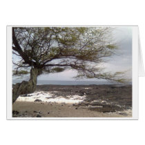 Place of Refuge Hawaii Card