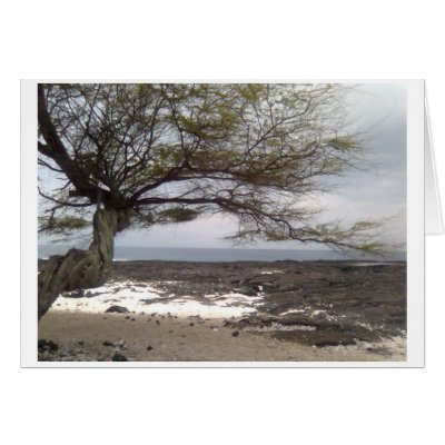 Place of Refuge Hawaii Card by amaura