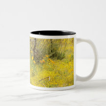 Place of Wildflowers Mug