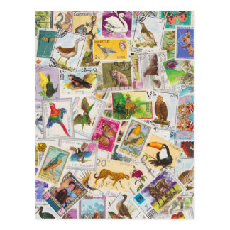 Stamped Postcards | Zazzle