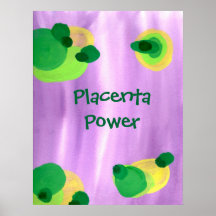 Placenta Power Poster