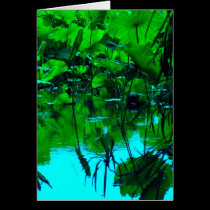 Placid cards