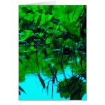 Placid Card
