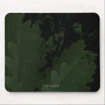 Placid Forest mousepads