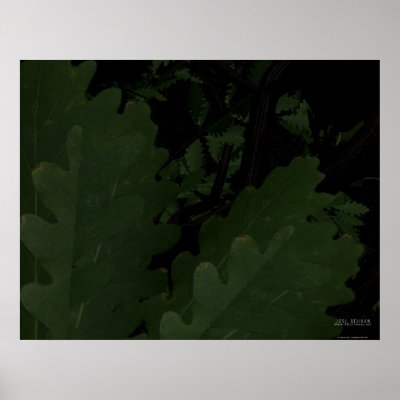 Placid Forest Print by 3dartwork