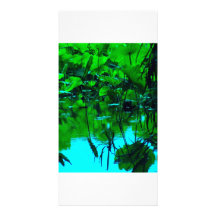 Placid Photo Greeting Card