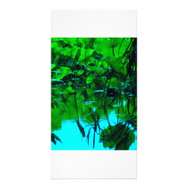 Placid photo cards by smallfoxonzaz Placid photo cards