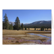Placid Views cards by marksmallwood Placid Views cards