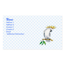 Placido Parrot Business Card