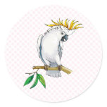 Placido Parrot Stickers