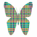 plaid butterfly photo sculptures by DonnaGrayson plaid butterfly photo sculptures
