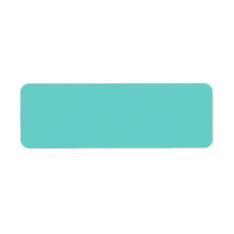 Plain aqua turquoise blue solid background blank return address labels