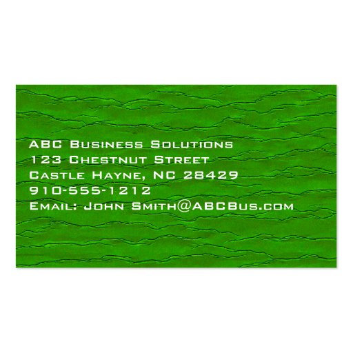 Plain Modern Professional Standard Business Card (back side)