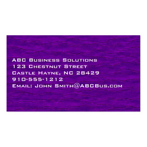 Plain Modern Professional Standard Business Card (back side)