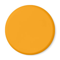 Plain Orange Background. Fridge Magnet