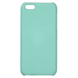 Plain Turquoise iPhone 5 Case