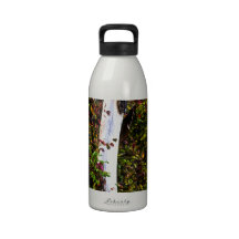 Plain White Tree Reusable Water Bottle