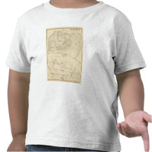 Plainfield, Unity Tee Shirt