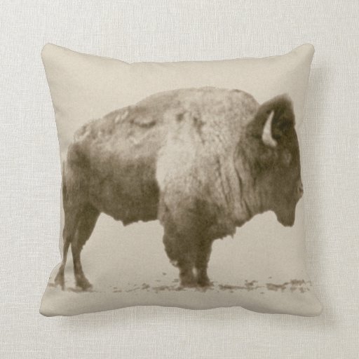 bison pillow pet