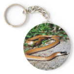 Plains Black-headed Snake Key Chains