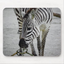 Plains Zebra Mousepad by SabineSt Plains Zebra Mousepad
