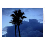 Plam Trees At Sunrise Cards