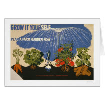 Plan A Farm Garden 1941 WPA cards