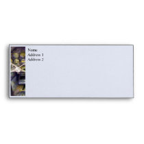 Plane - Grumman E-1B Cockpit Simulator envelopes