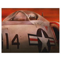 Plane - Pilot - Airforce - Go get em Tiger Custom Flyer