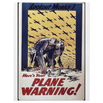 Plane Warning! flyers