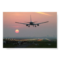 Planes and Cows posters by nashtrobia Planes and Cows posters