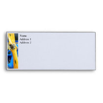 Planes - Great Lakes Sport Trainer envelopes