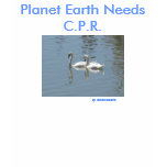 Planet Earth Needs C.P.R. Kids T-Shirt