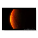 Planet - The Search posters by pansworld Planet - The Search posters